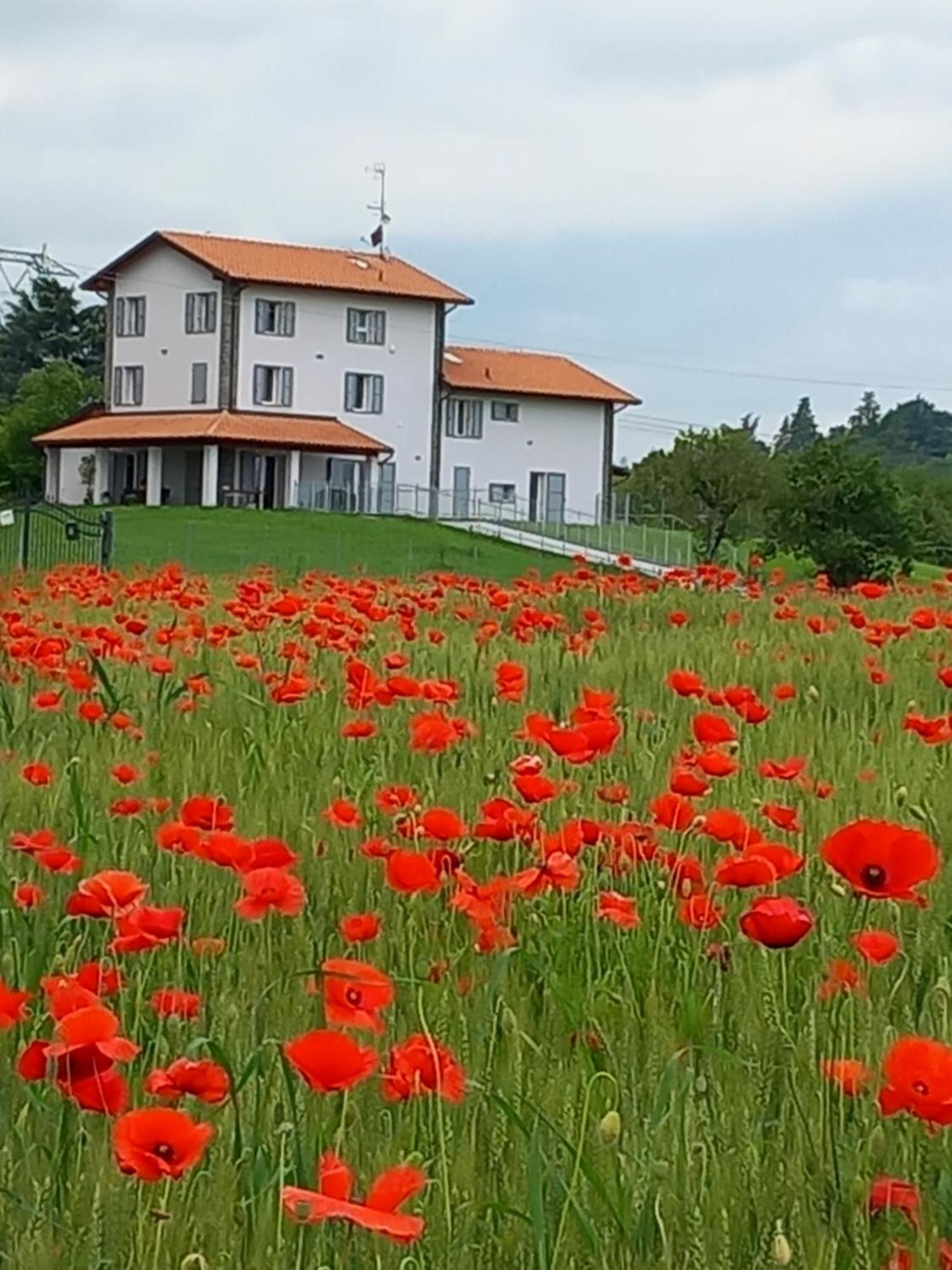 La Collinetta B&B Crespellano Exterior foto